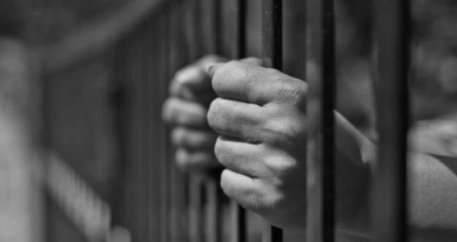 Where is the Freedom in Education?