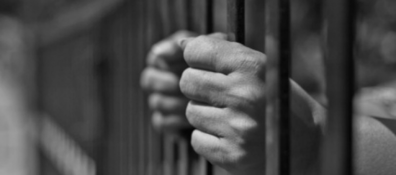 Where is the Freedom in Education?